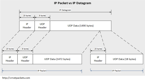 IP Packet vs IP Datagram
